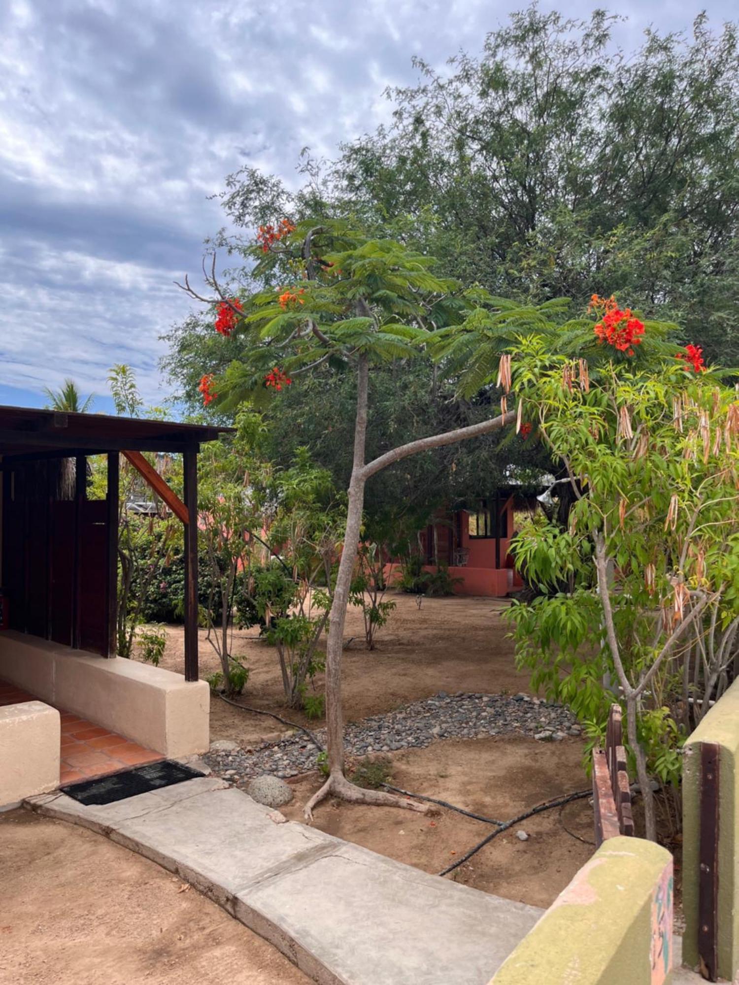 Cabo Pulmo Beach Resort Buitenkant foto